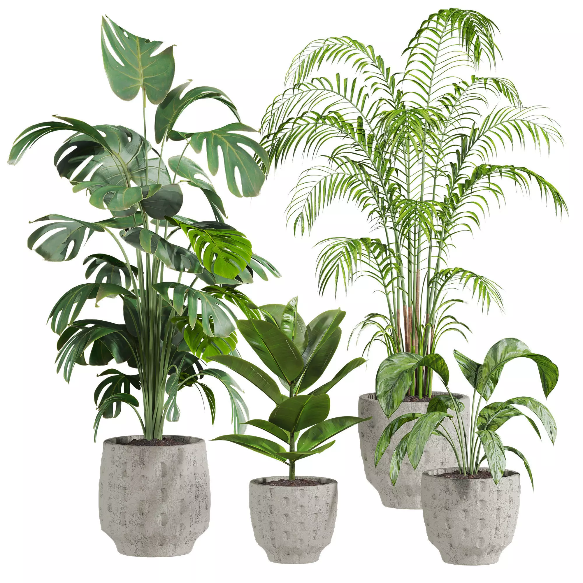 Plants Set 3D model_0