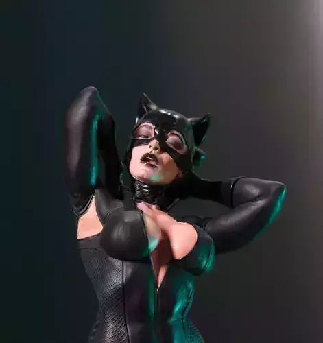 Catwoman 3D print model