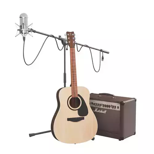 Acoustic Guitar and Combo Marshall  studio microphone on stand
