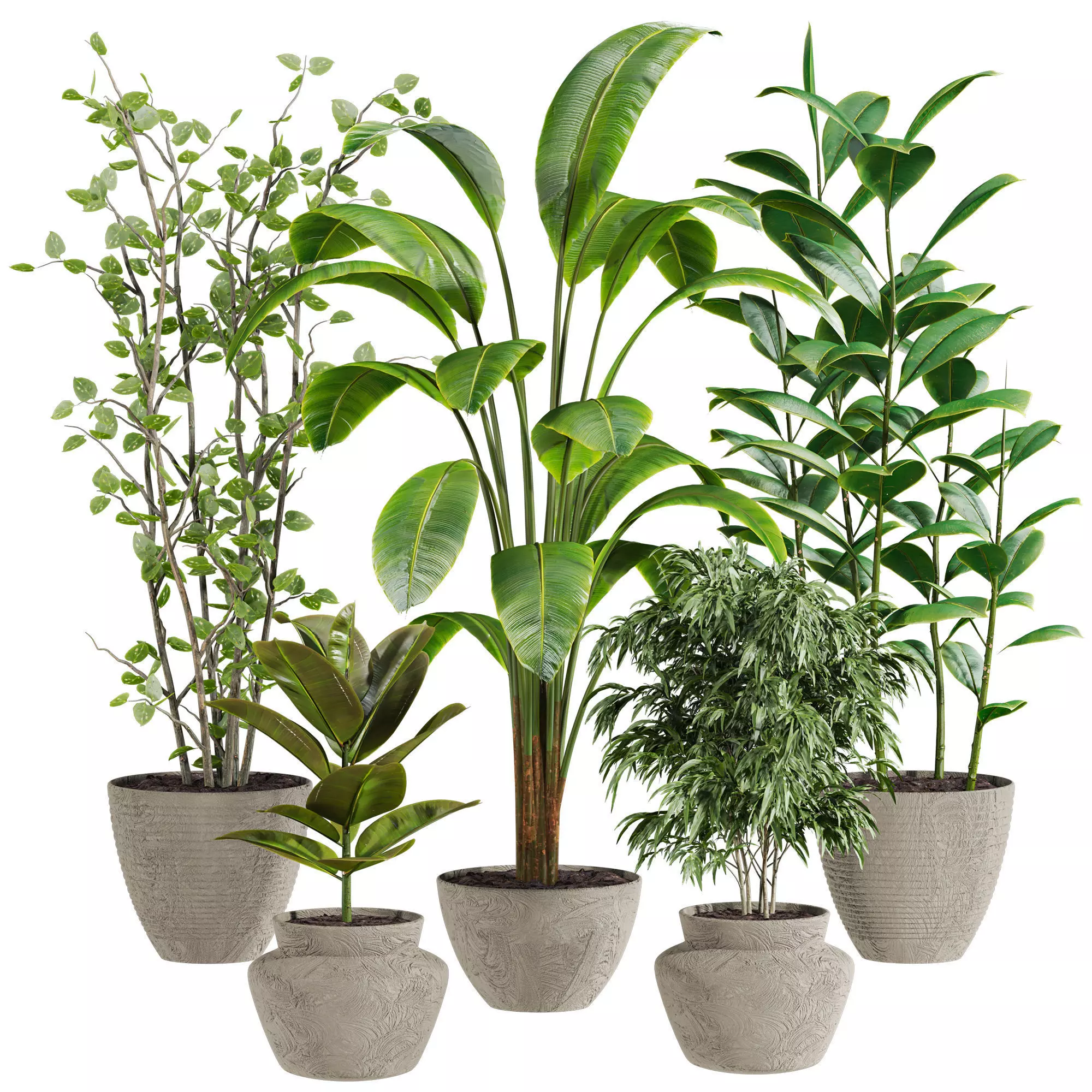 Plants Set 3D model_0