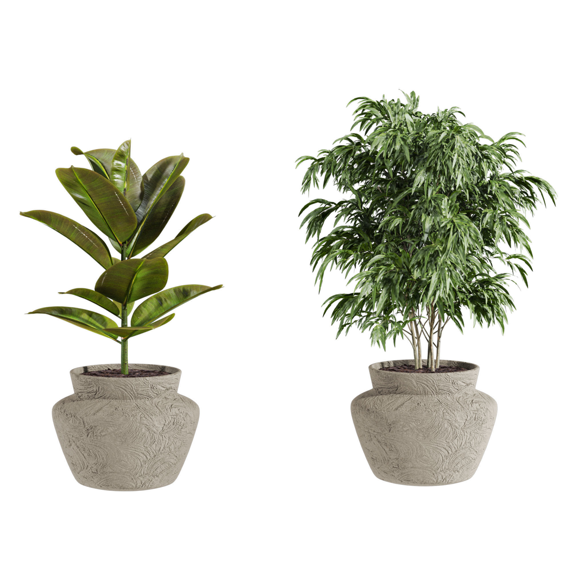 Plants Set 3D model_4