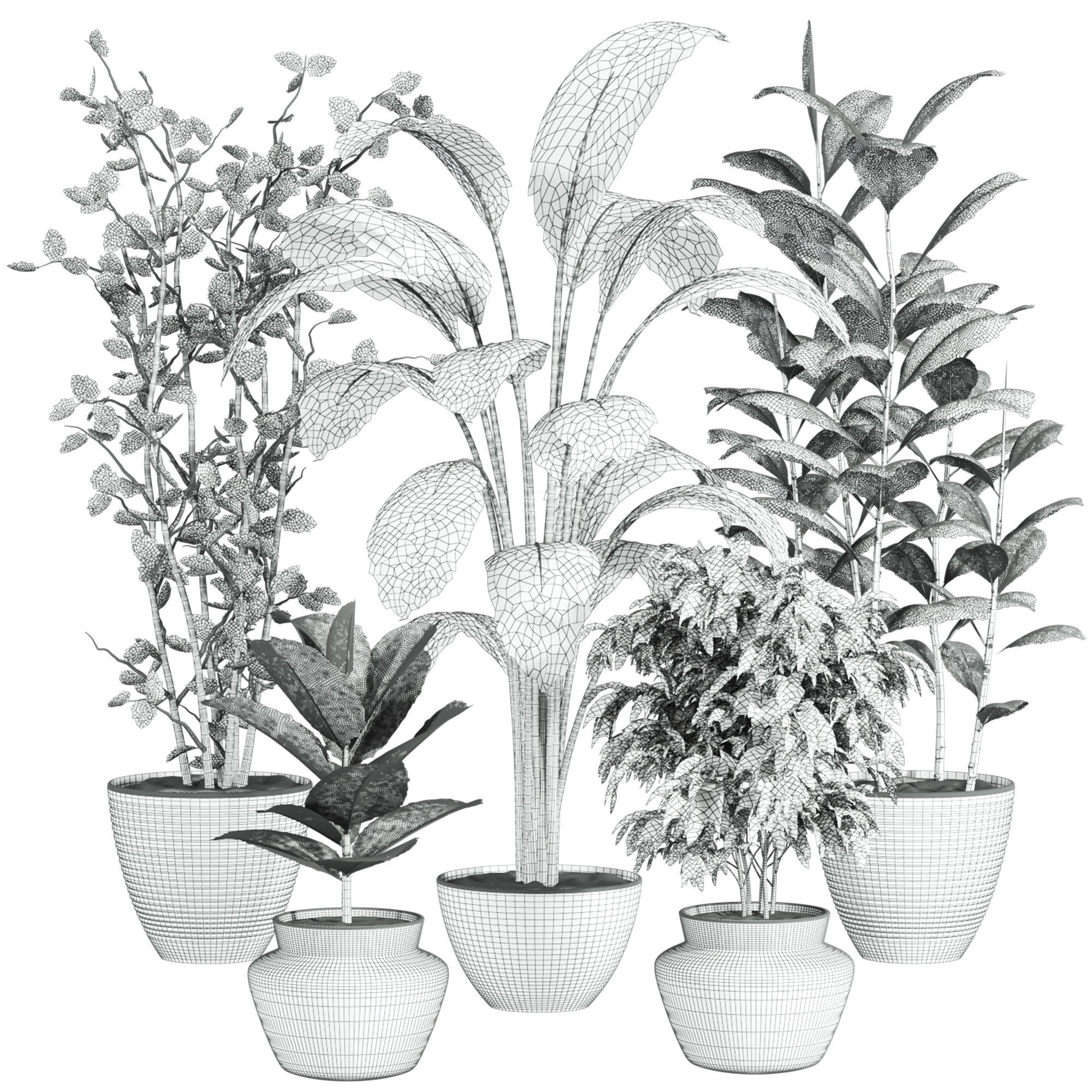 Plants Set 3D model_5
