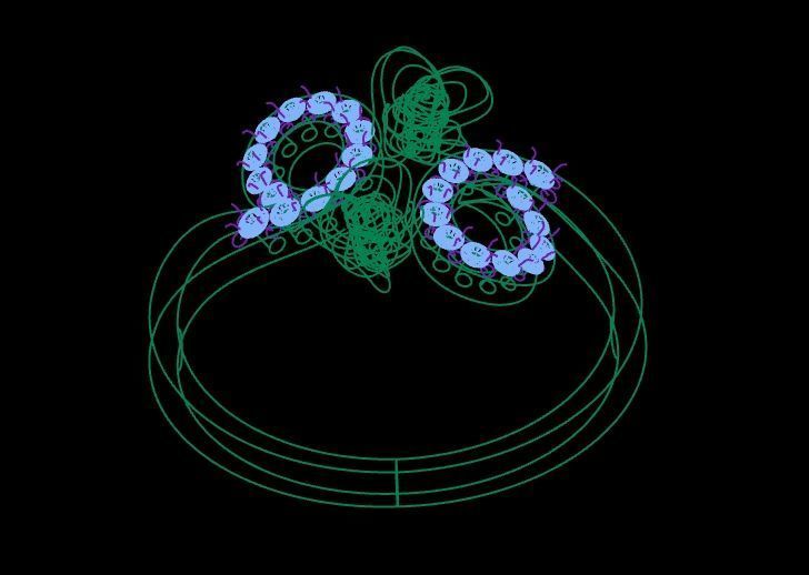 Diamond Rose Ring RG10 3D print model_8