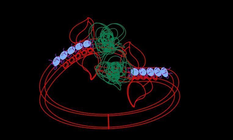 Diamond Rose Ring RG13 3D print model_8