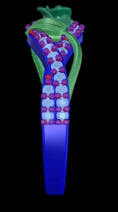 Diamond Rose Ring RG14 3D print model_9