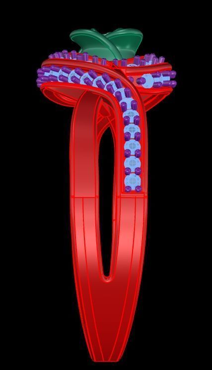 Diamond Rose Ring RG16 3D print model_6