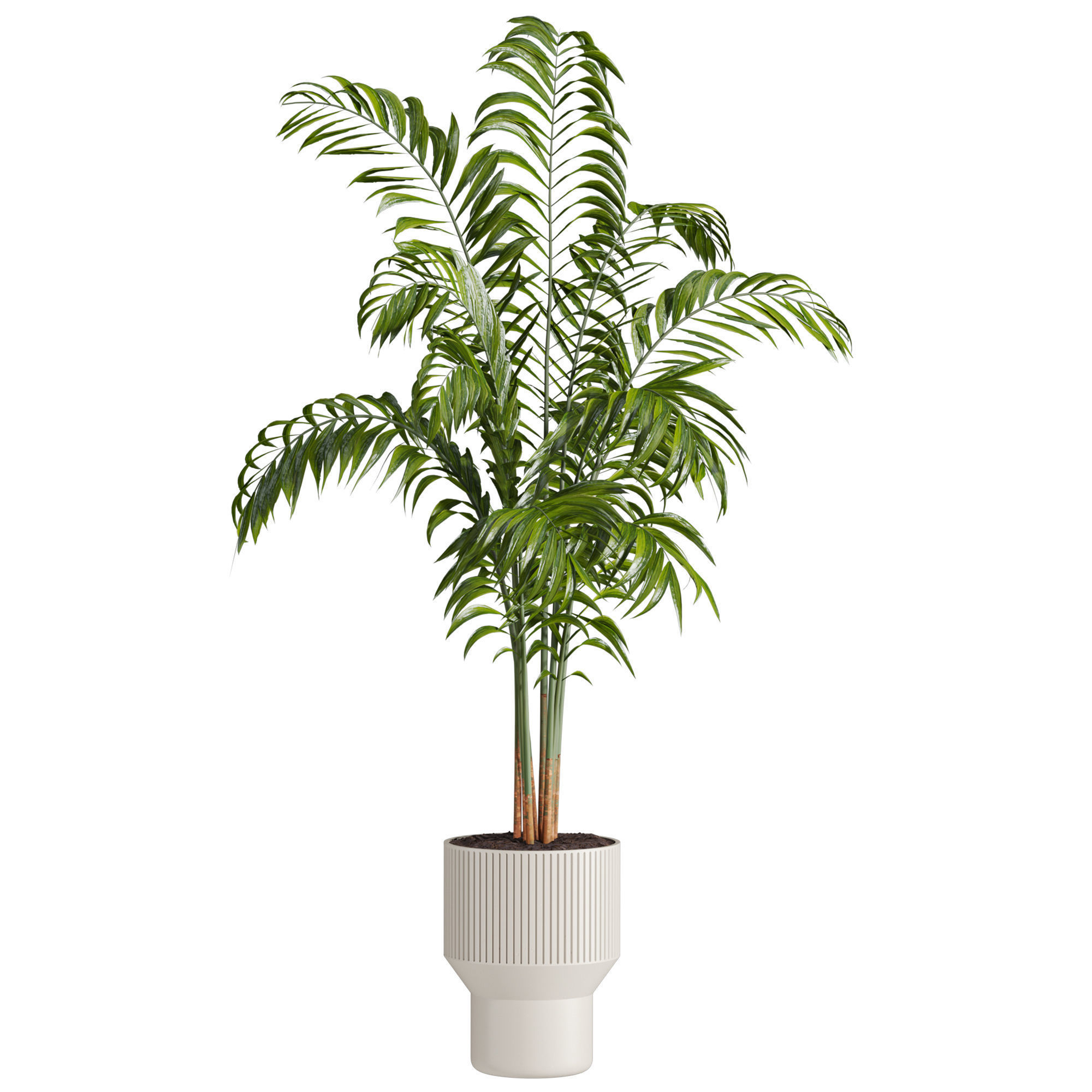 Plants Set 3D model_2