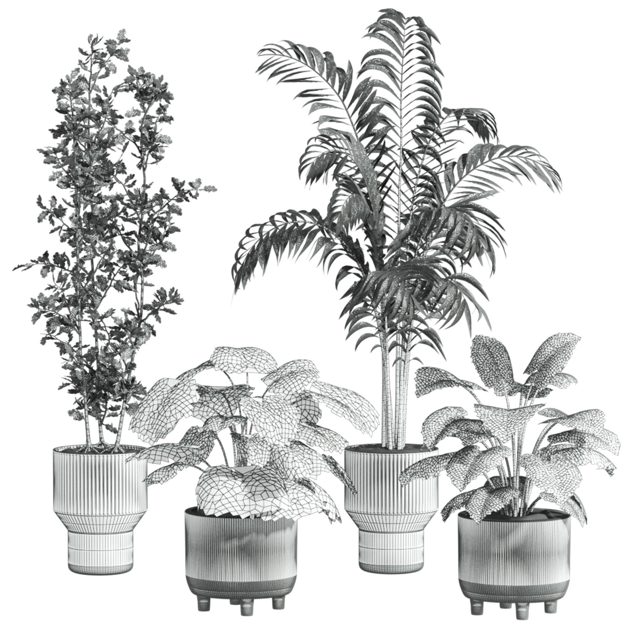 Plants Set 3D model_4