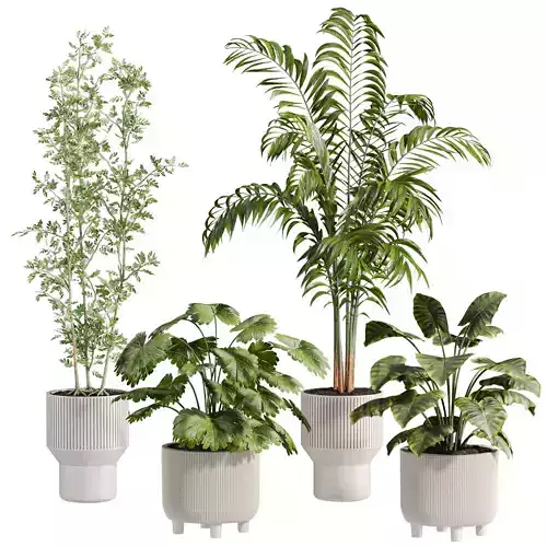 Plants Set