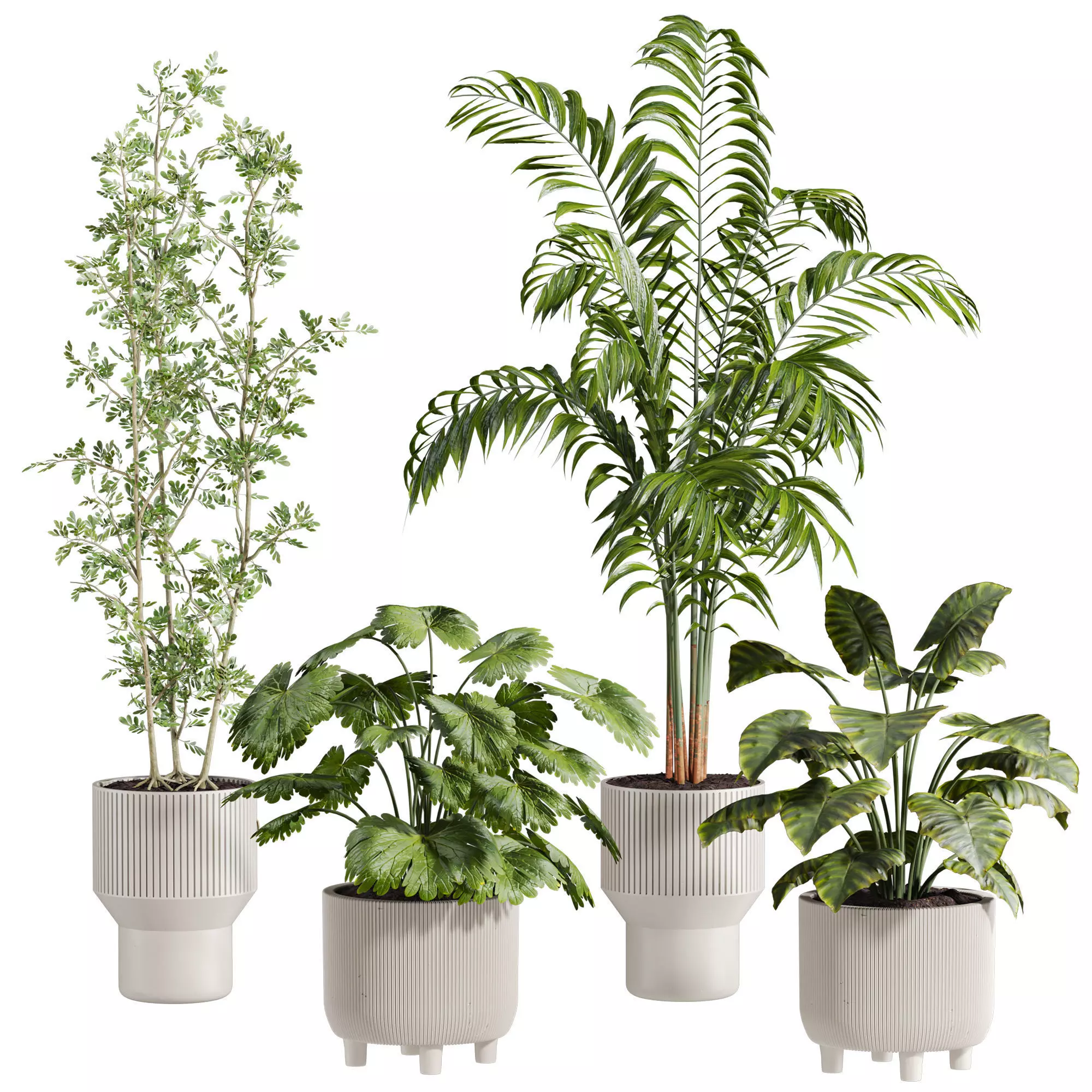 Plants Set 3D model_0