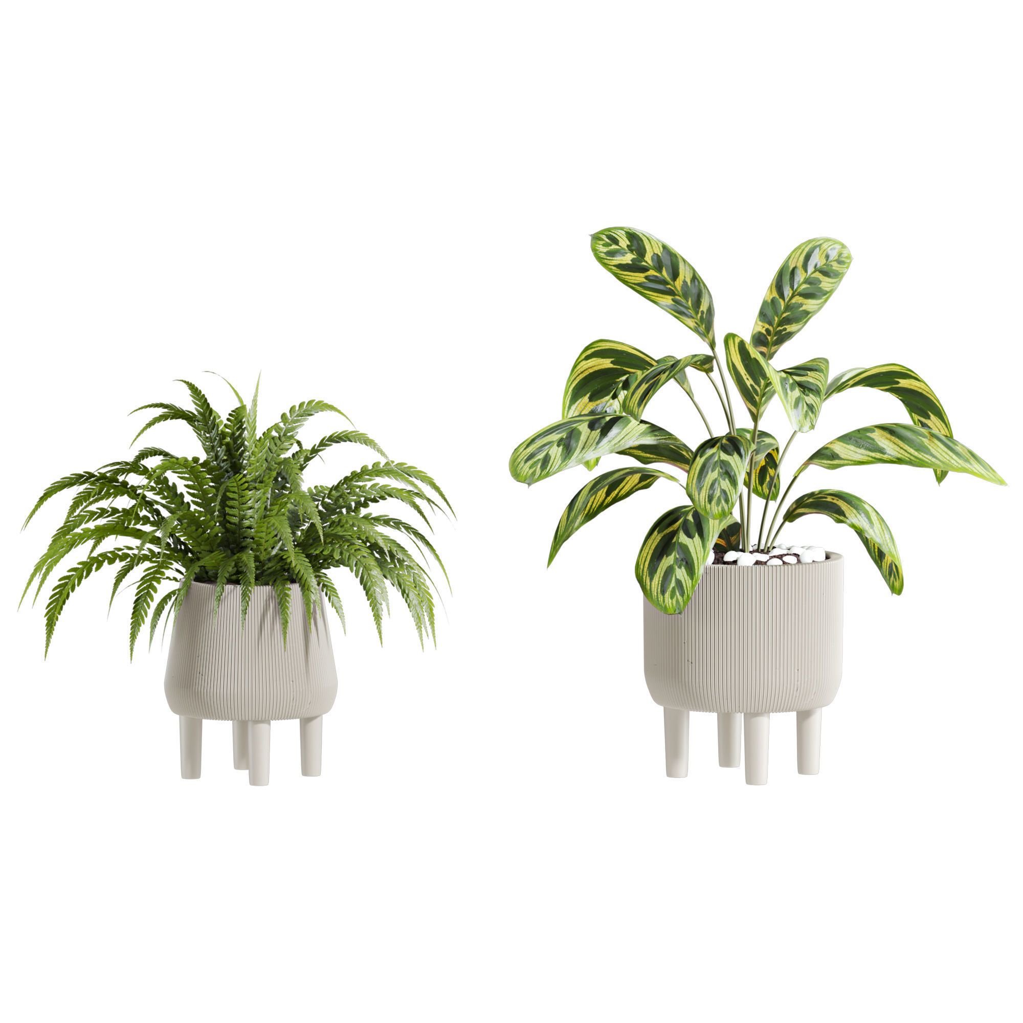 Plants Set 3D model_1