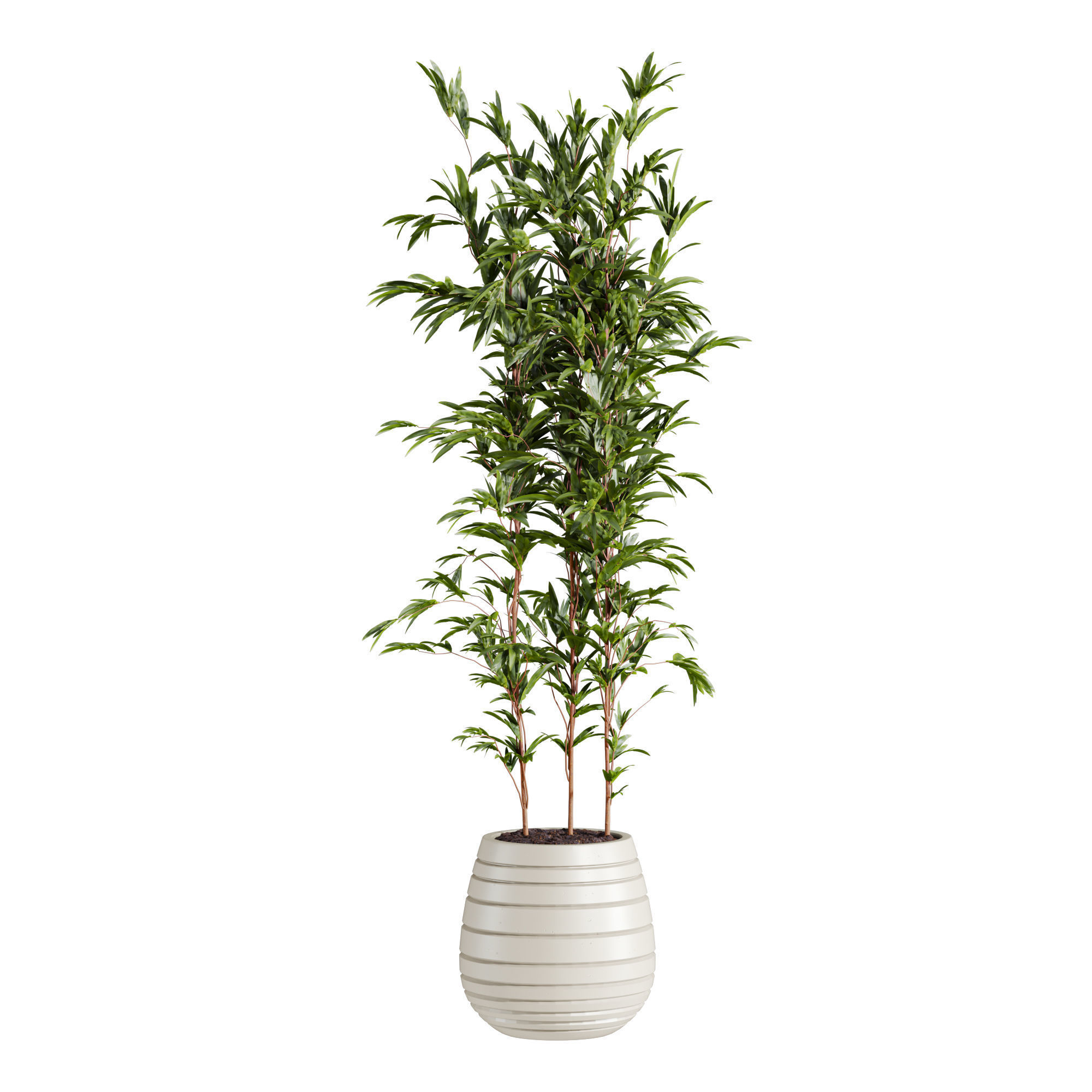 Plants Set 3D model_5