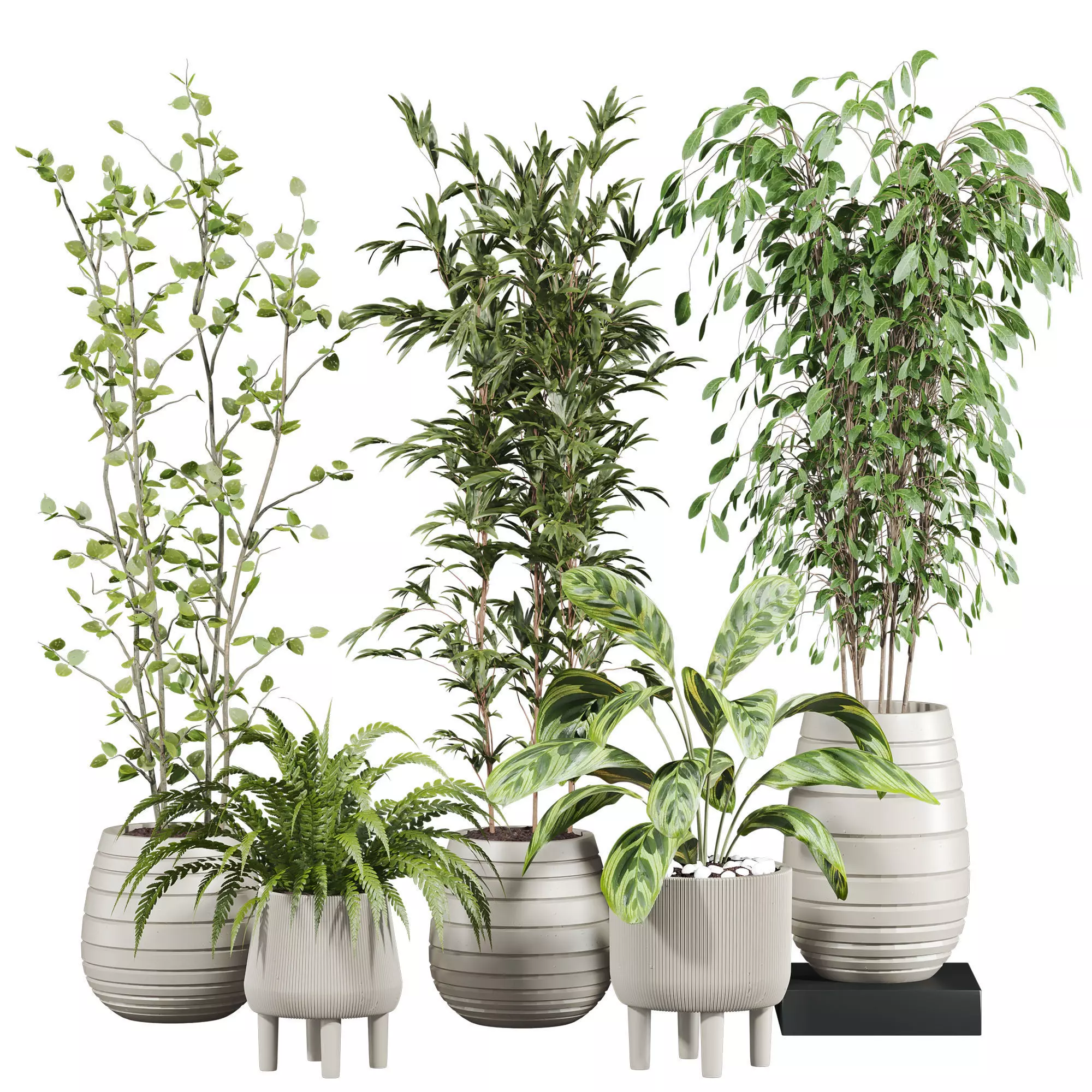 Plants Set 3D model_0