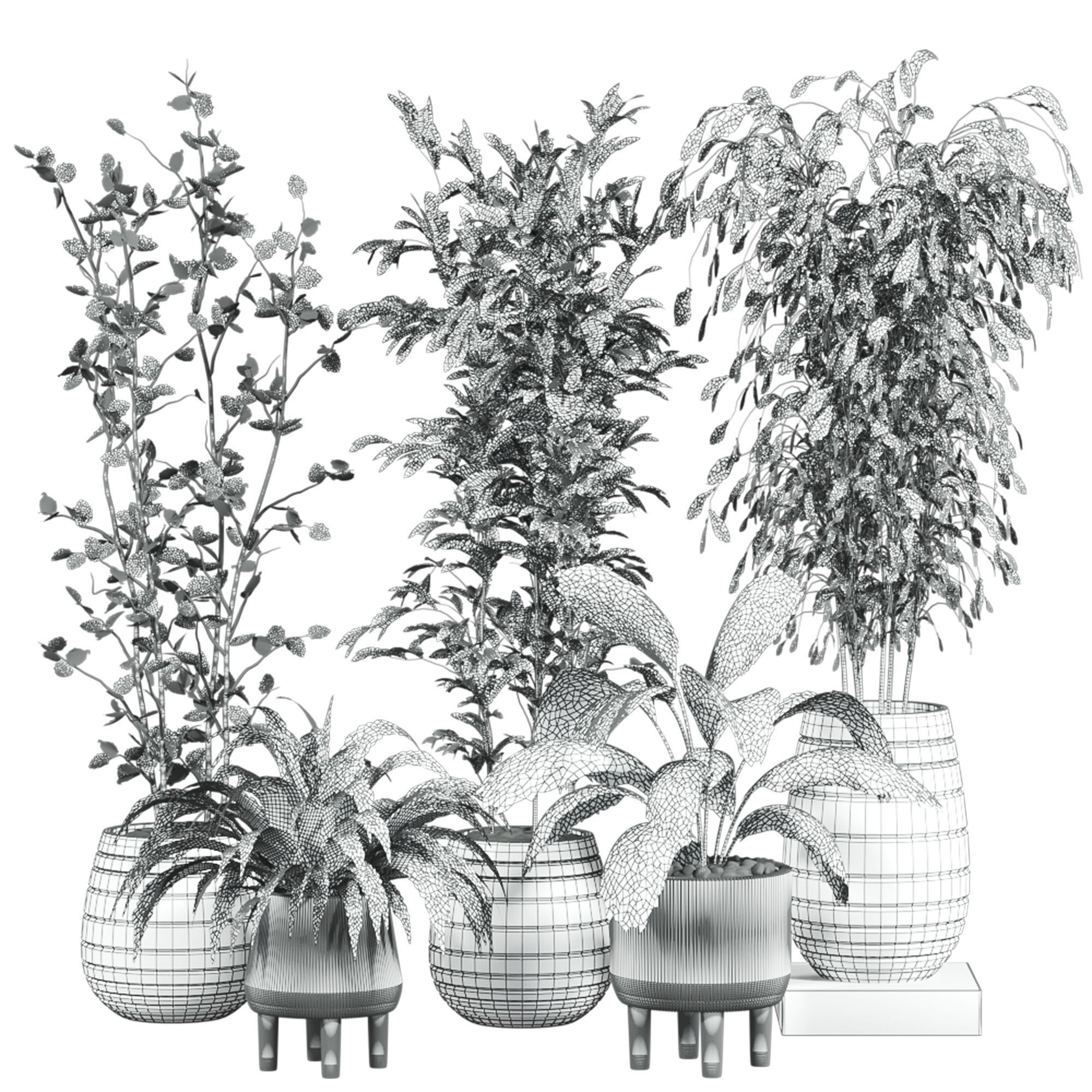 Plants Set 3D model_4