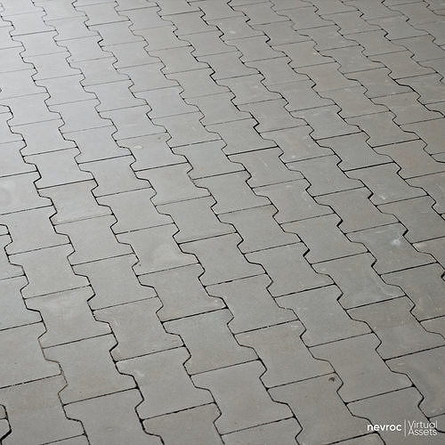 Brick pavement 01 Texture