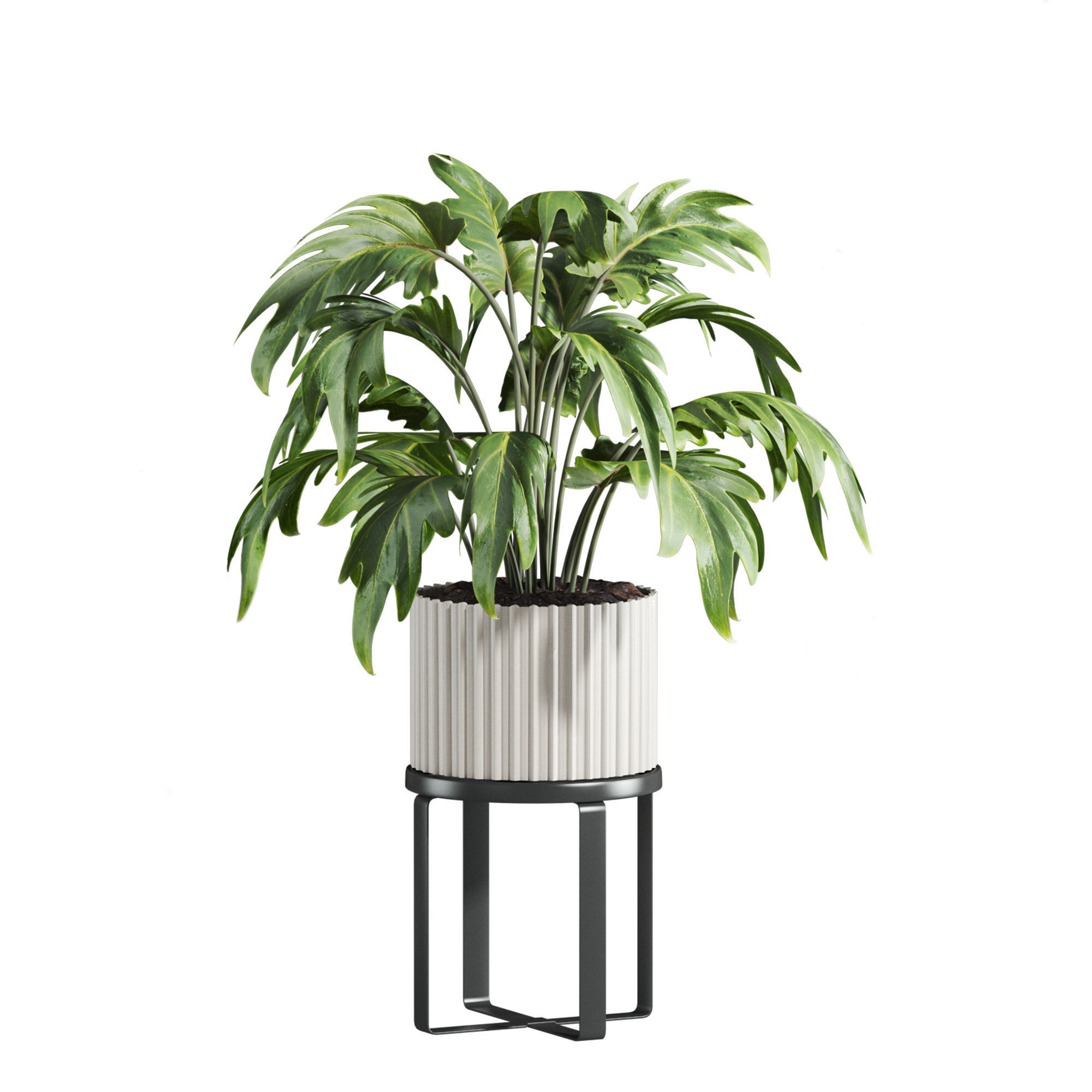 Plants Set 3D model_1