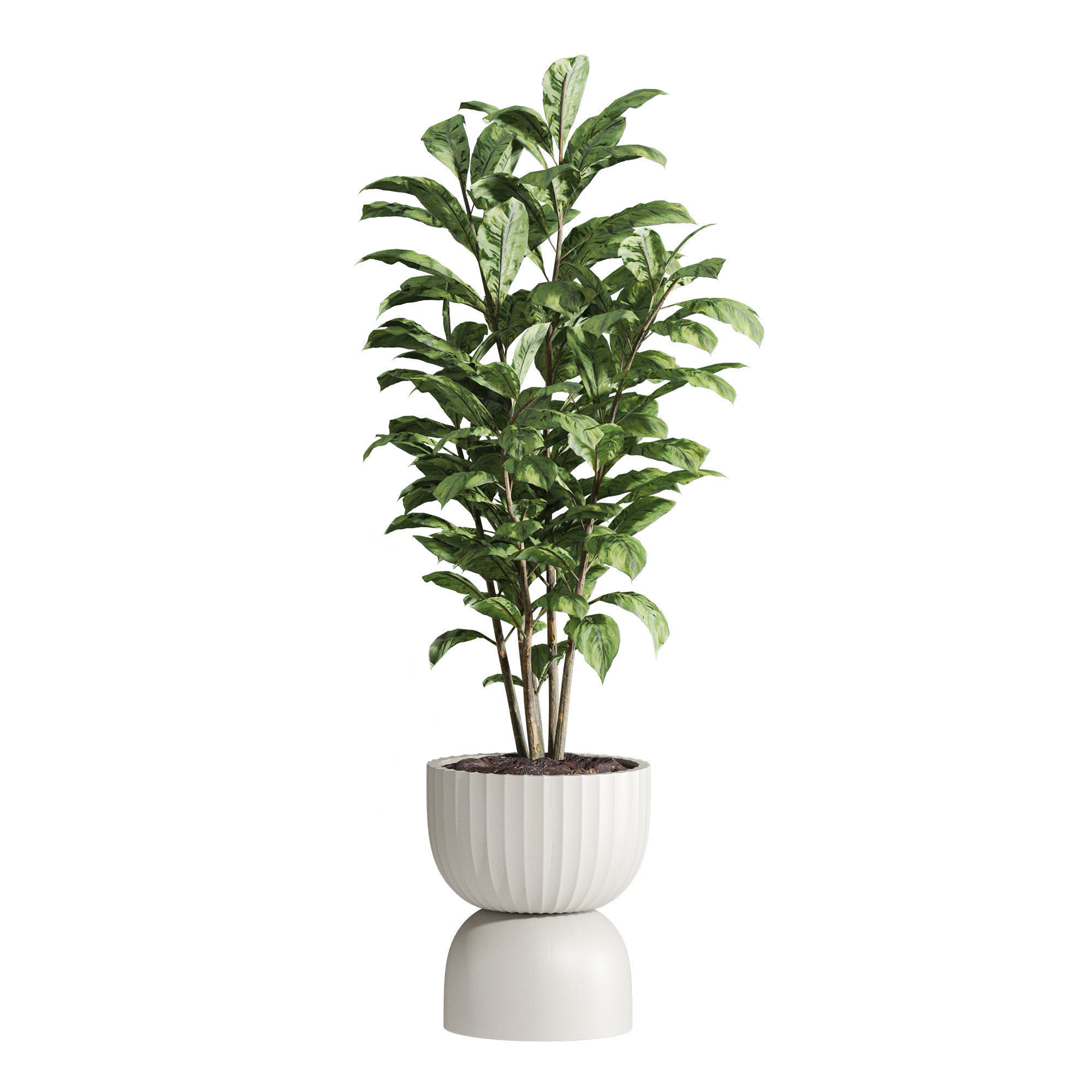 Plants Set 3D model_2