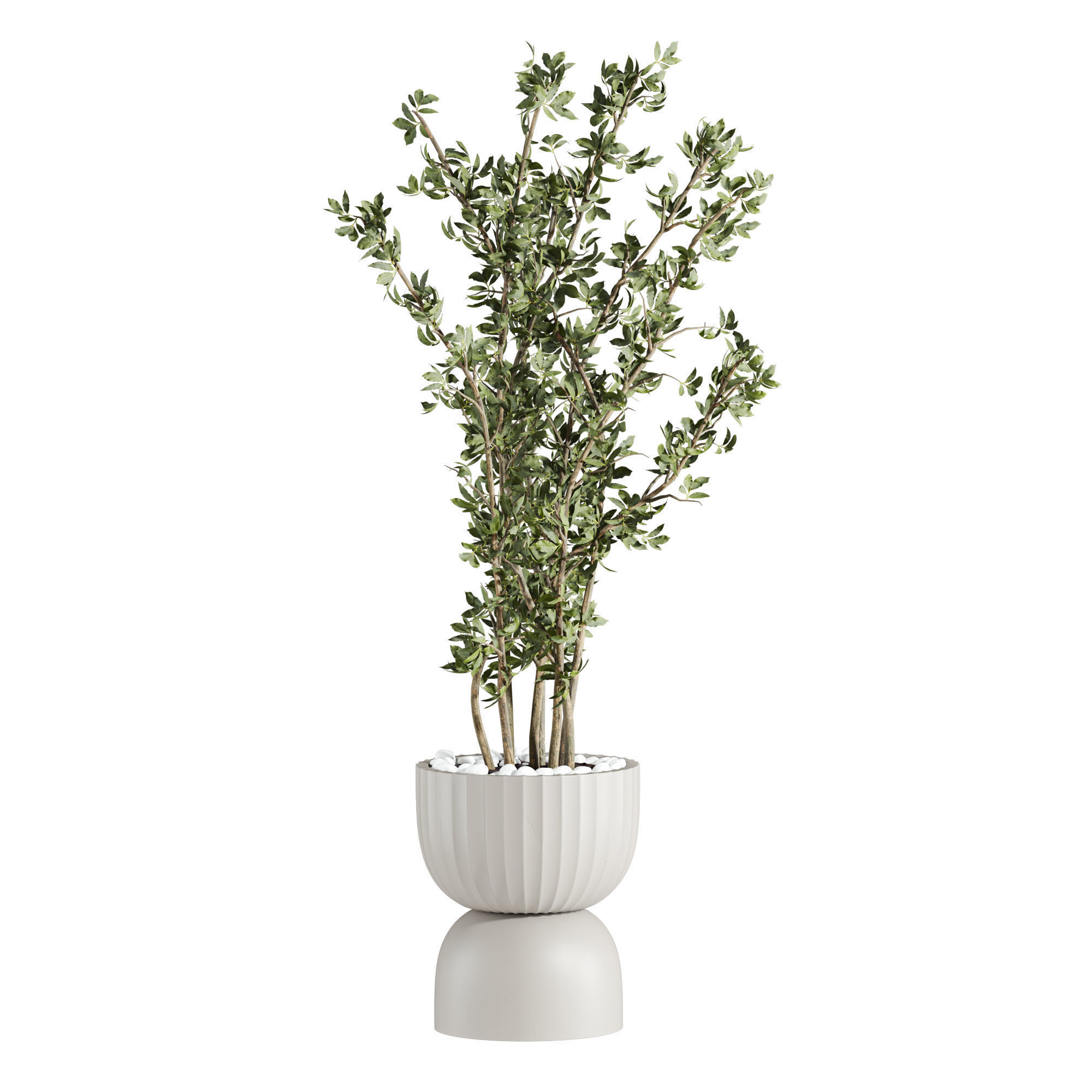 Plants Set 3D model_3