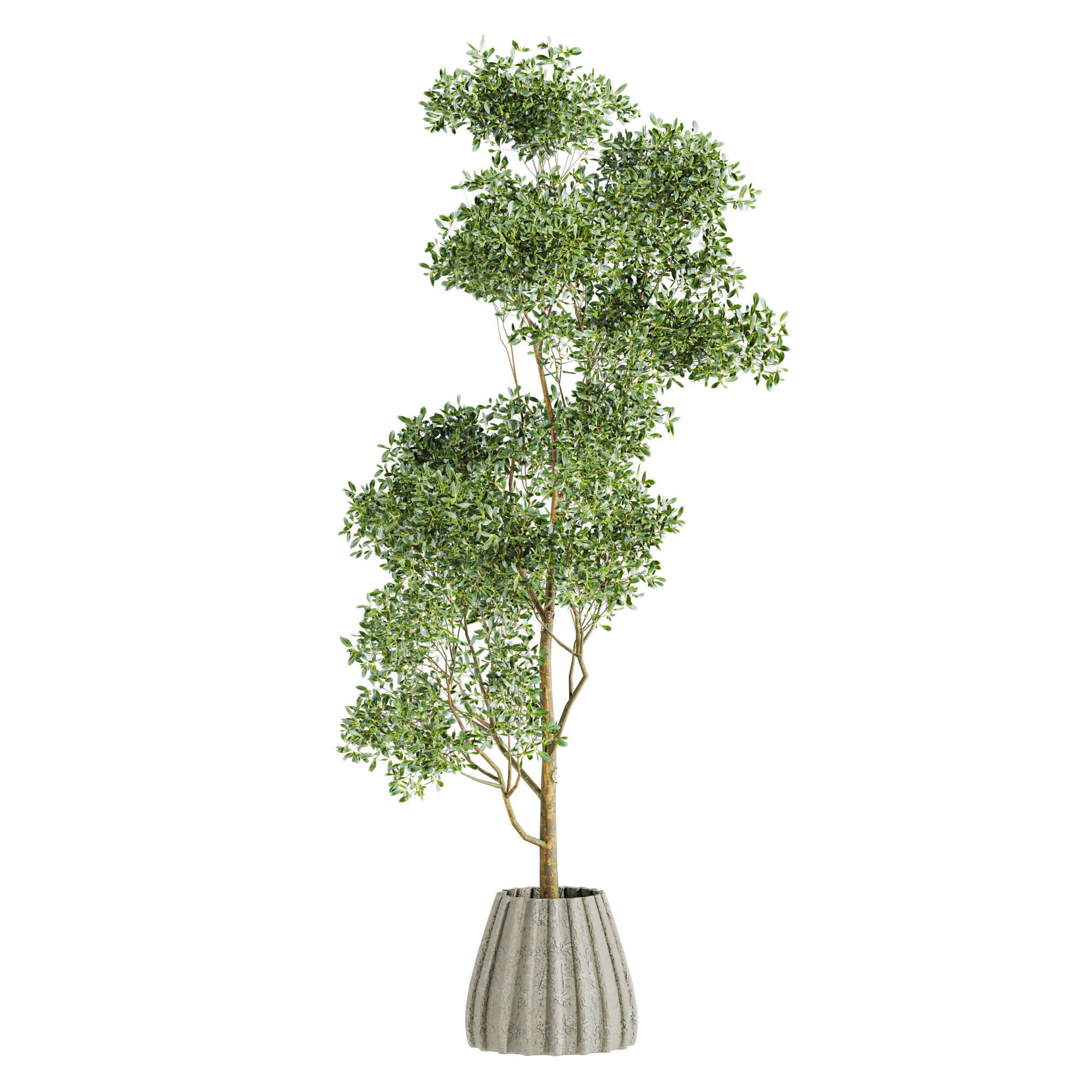 Plants Set 3D model_3