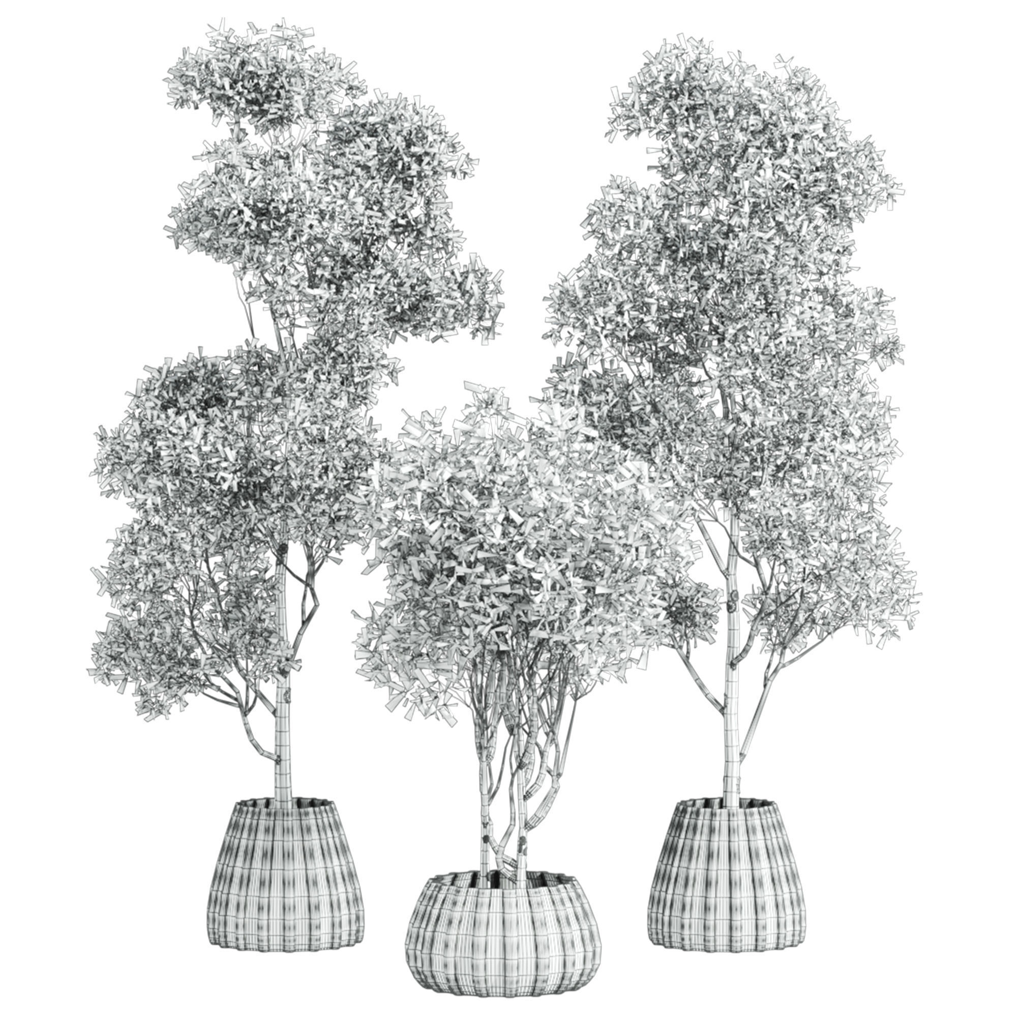 Plants Set 3D model_2