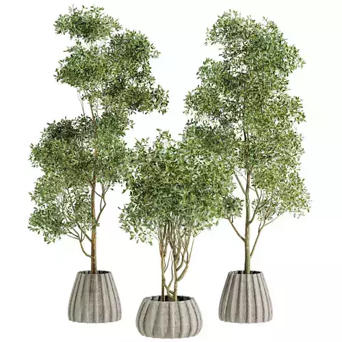 Plants Set 3D model Plants Set 3D model