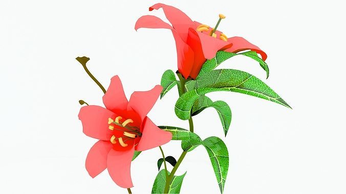 Cherry Time 3D model 5