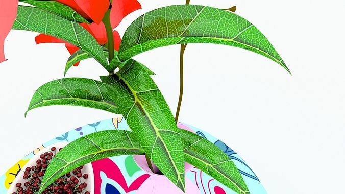 Cherry Time 3D model 7