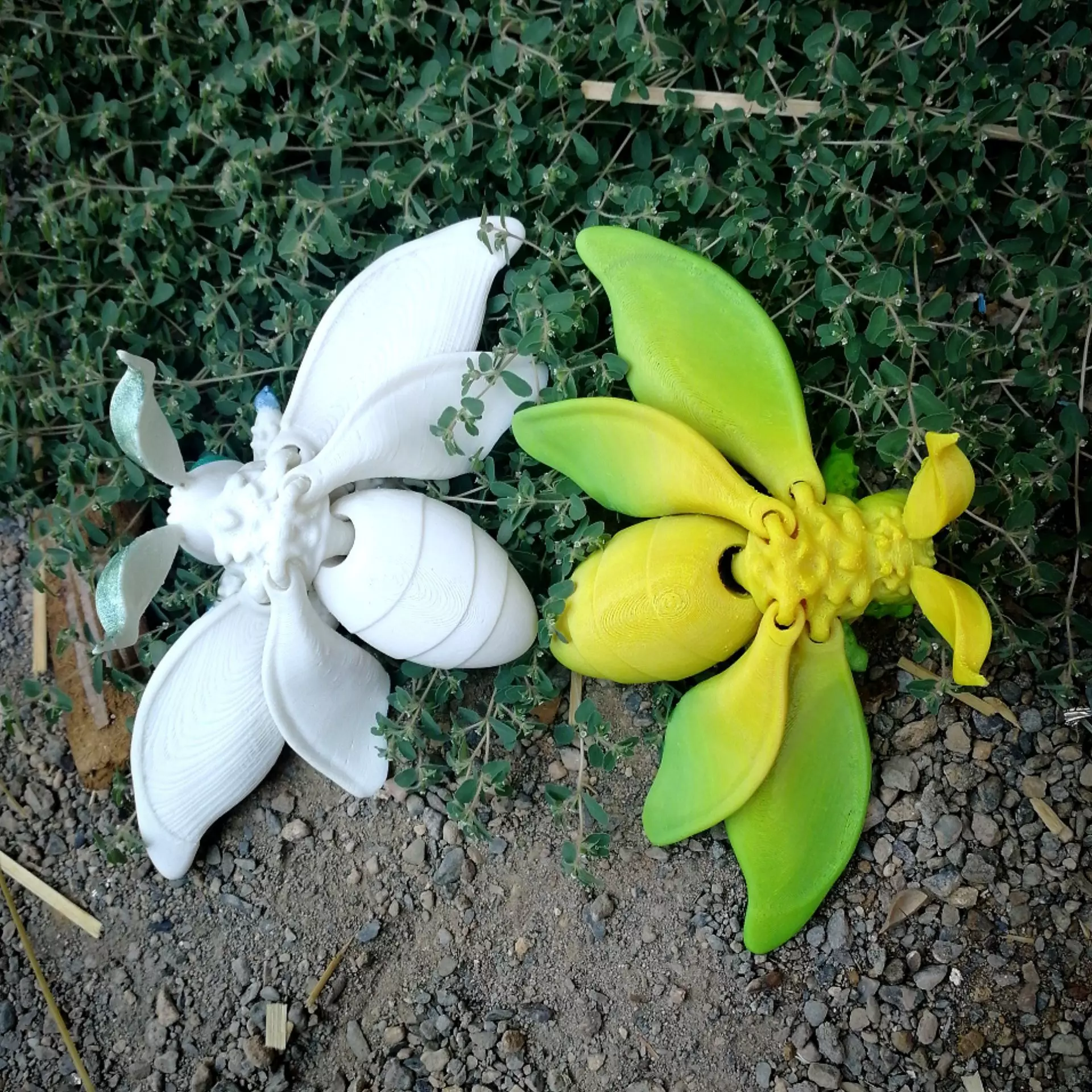 Realistic spongy moth 3D print model_0