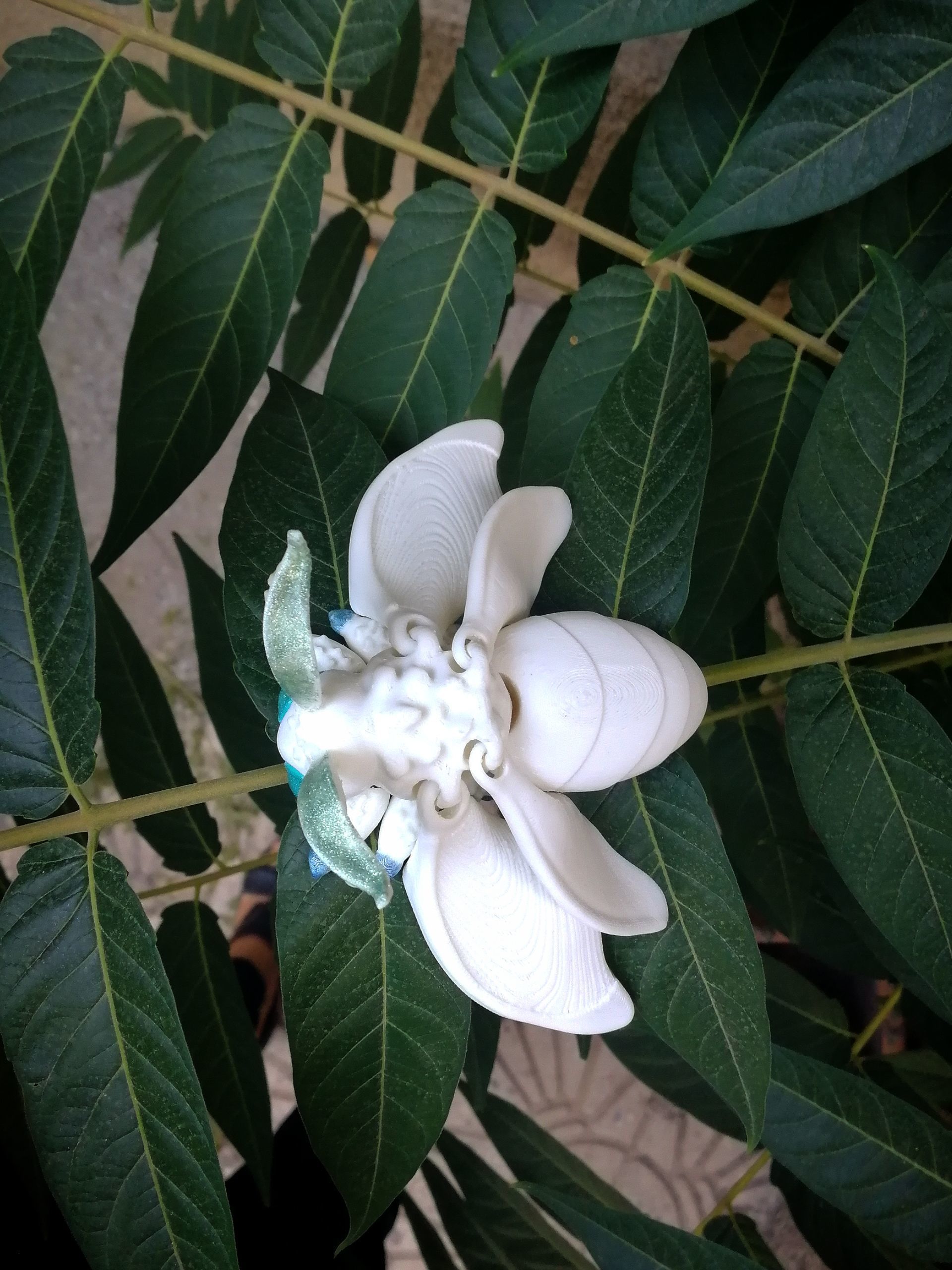 Realistic spongy moth 3D print model_17