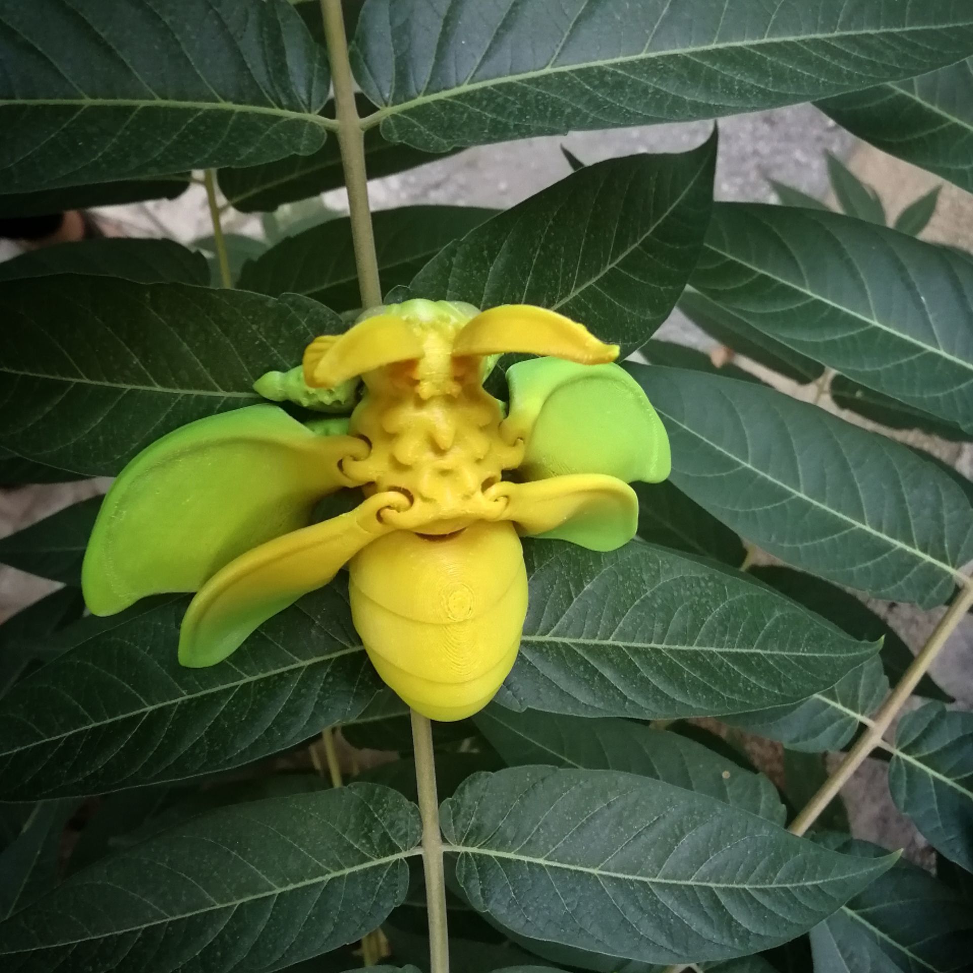 Realistic spongy moth 3D print model_3