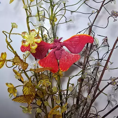 Realistic Atlas moth