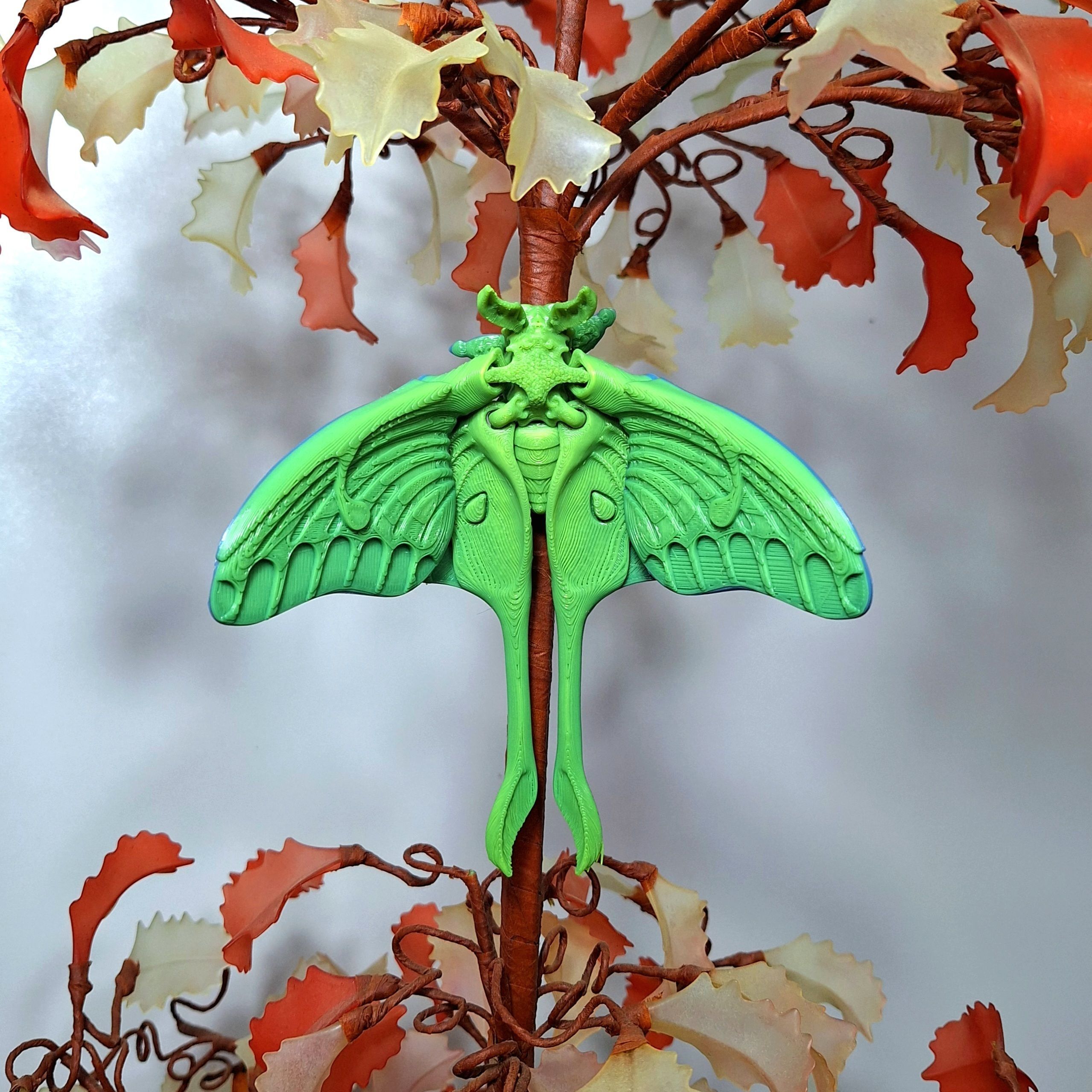 Realistic Luna moth 3D print model_6