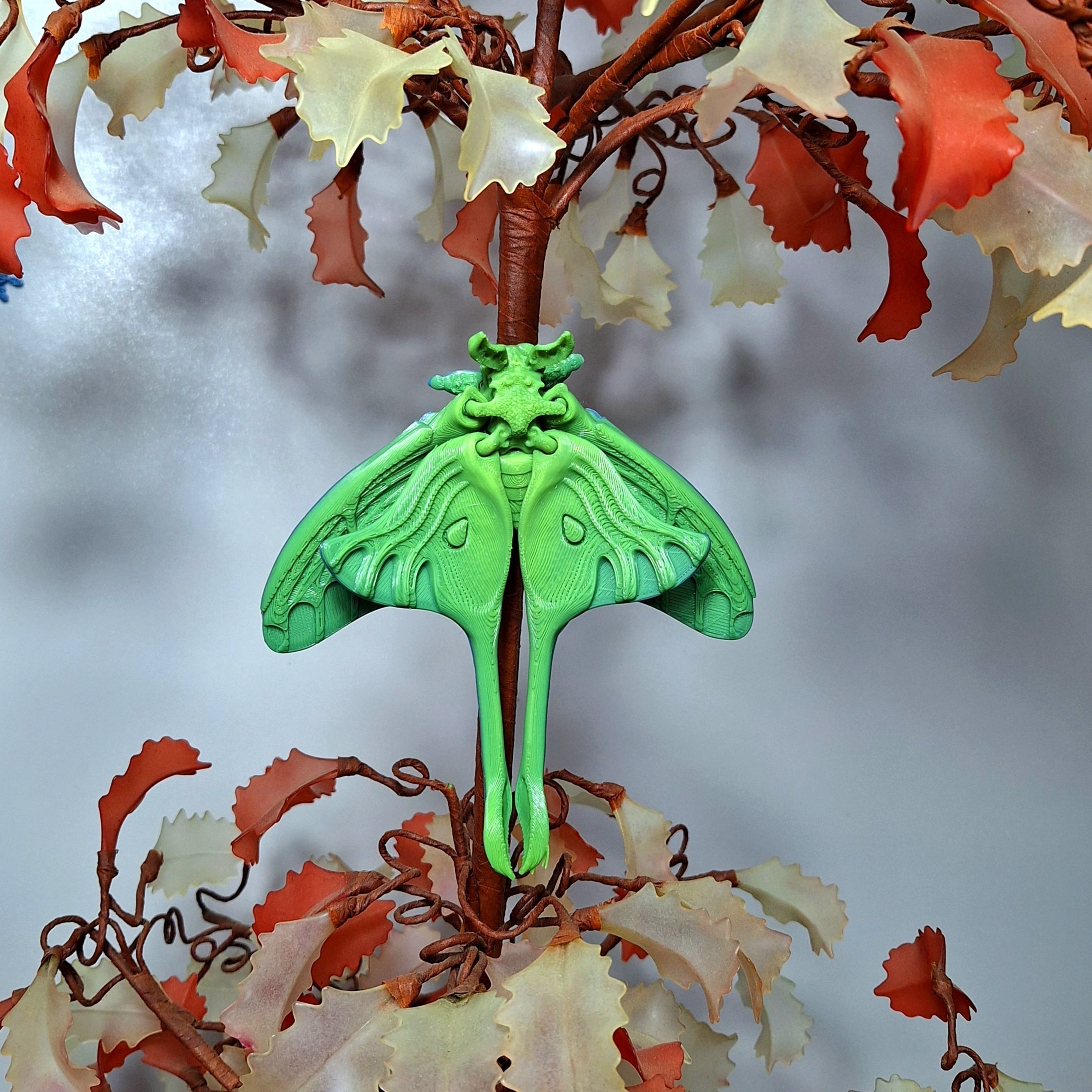Realistic Luna moth 3D print model_7