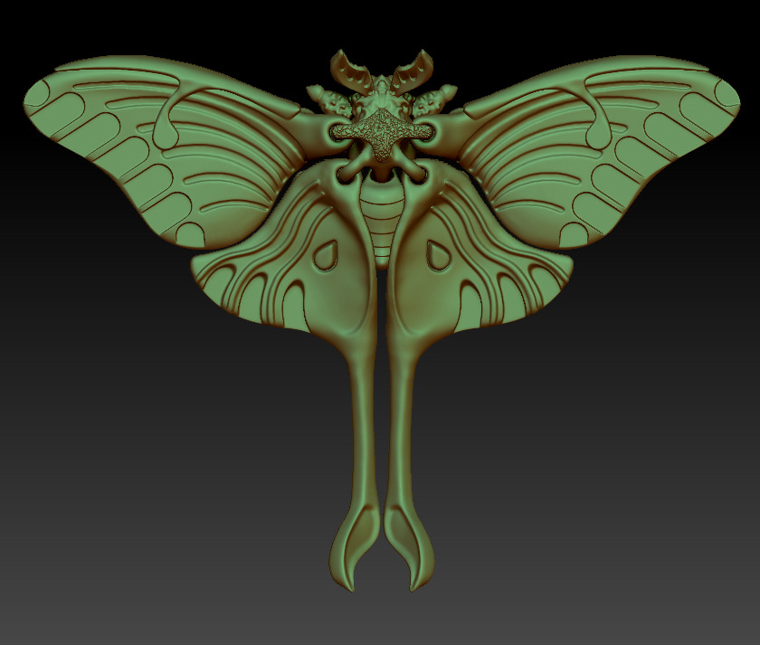 Realistic Luna moth 3D print model_14