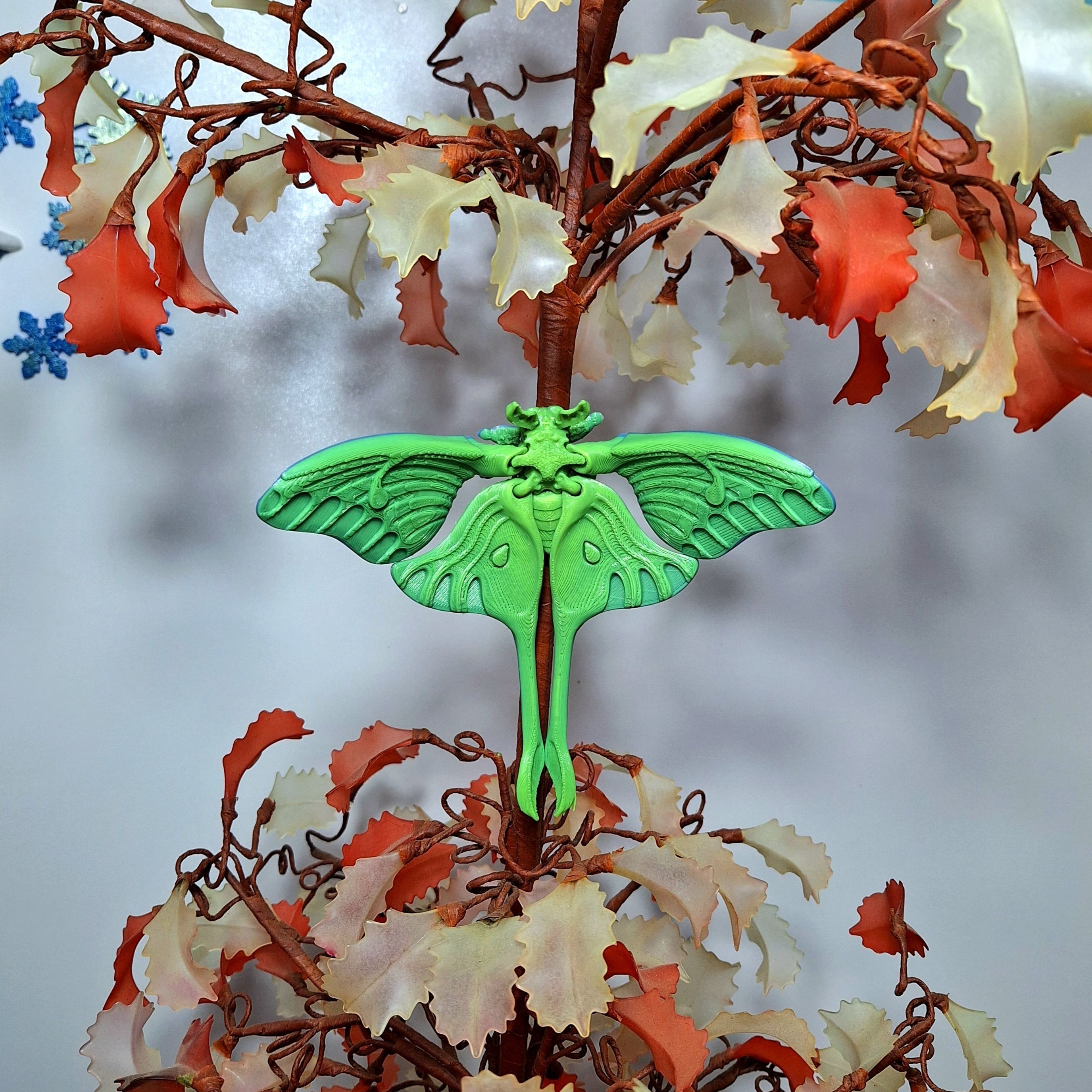 Realistic Luna moth 3D print model_4