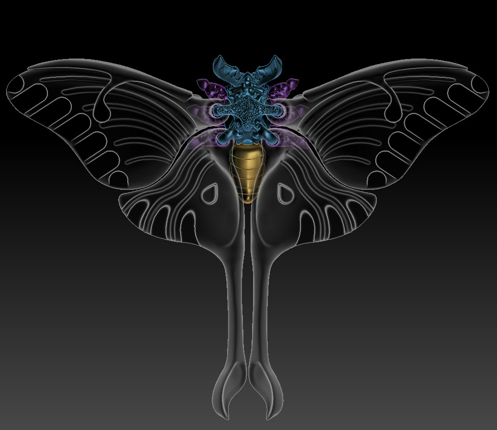 Realistic Luna moth 3D print model_10