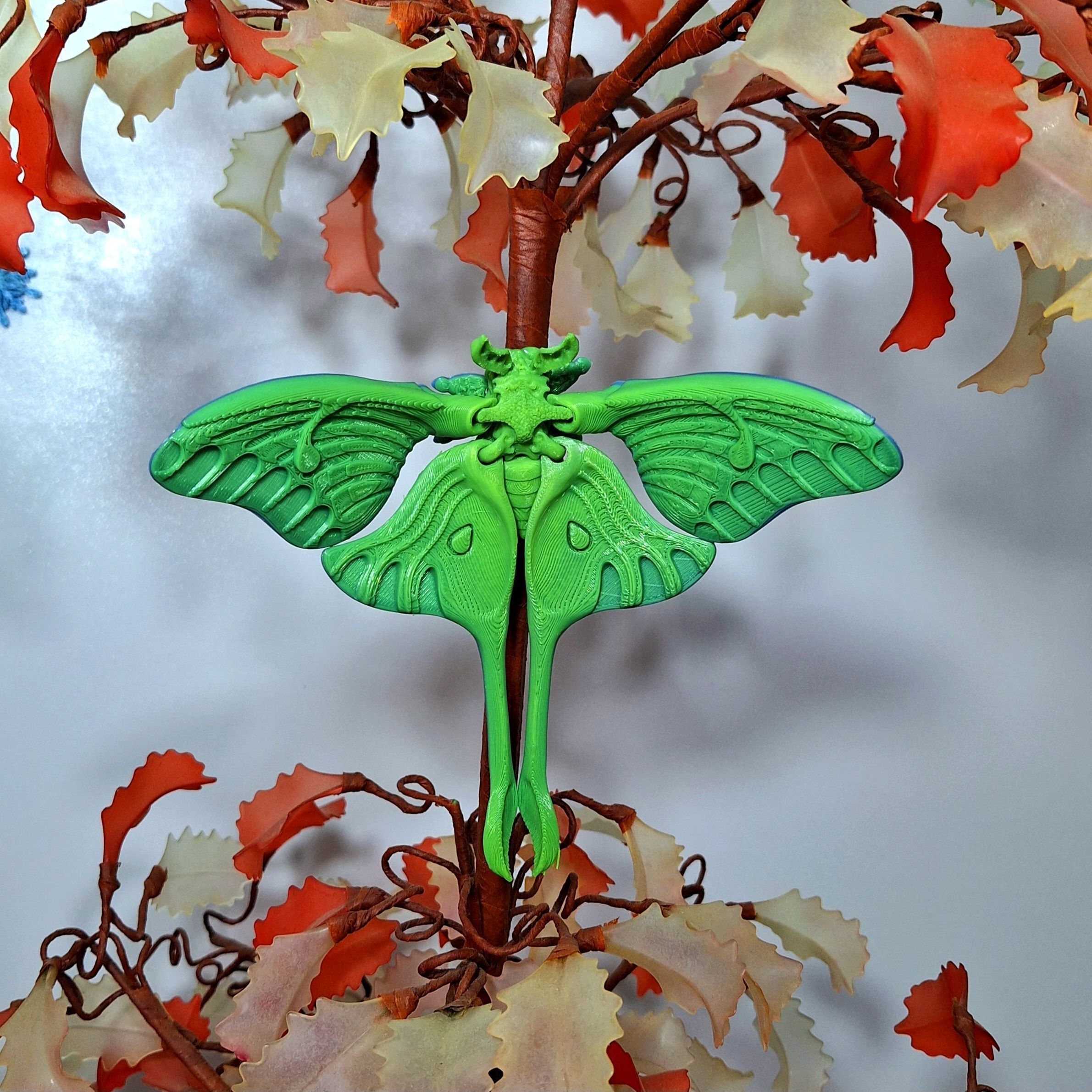 Realistic Luna moth 3D print model_5