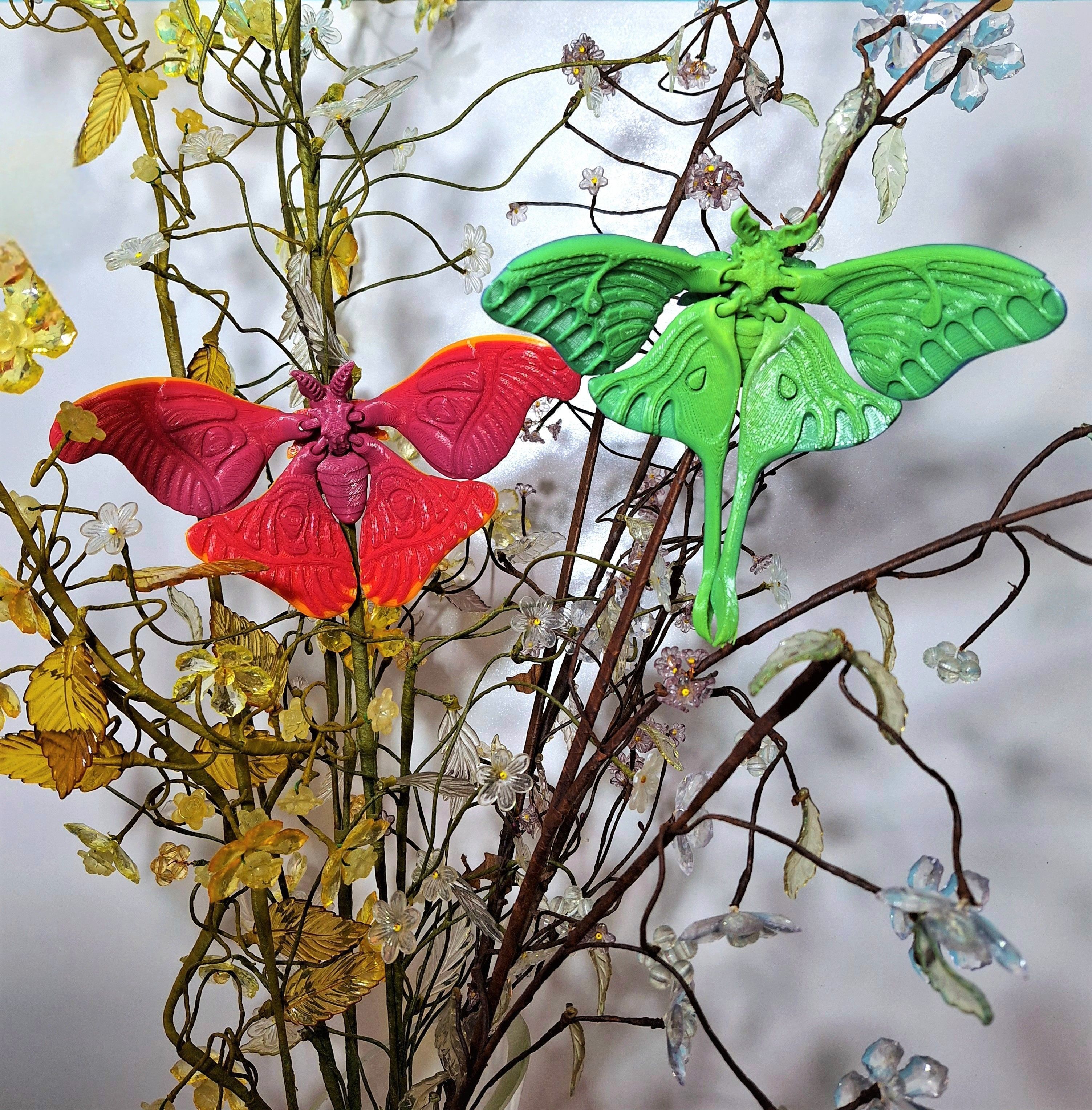 Realistic Luna moth 3D print model_1