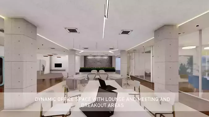 Dynamic Office Space with Lounge and Meeting and breakout Areas 3D model