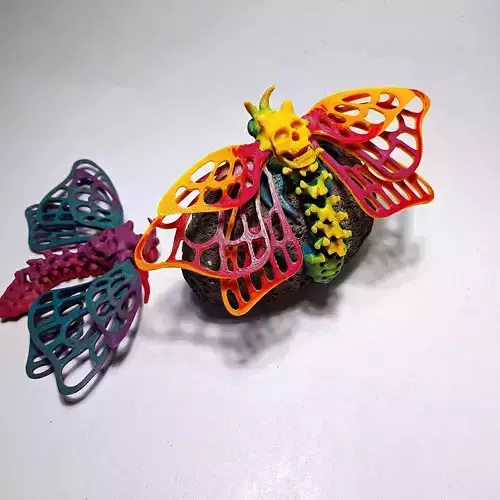 Skullwing Butterfly