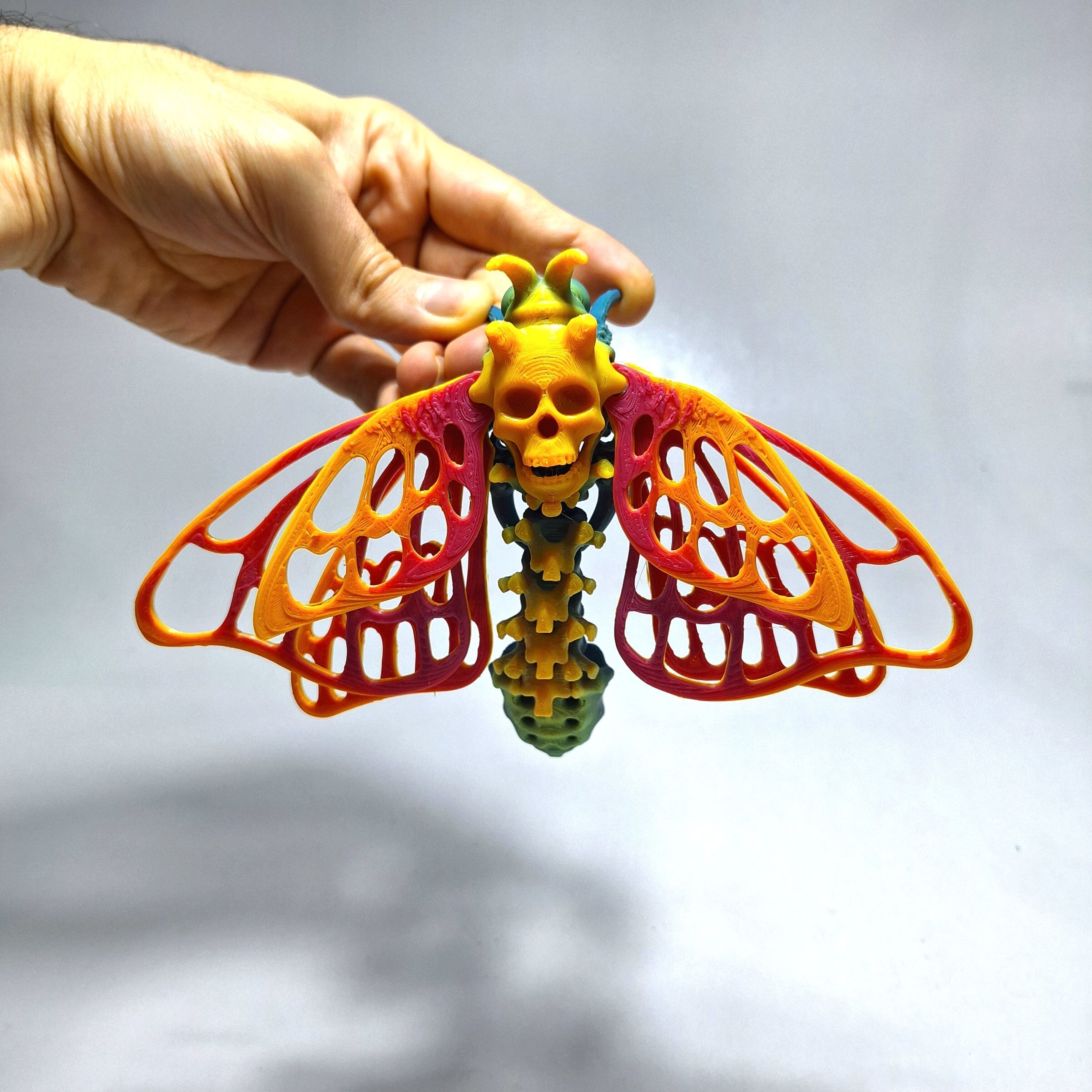 Skullwing Butterfly 3D print model_10