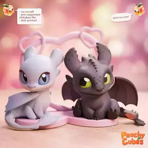 Toothless and Light fury