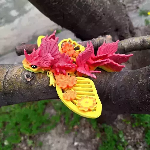 Papilio butterfly dragon