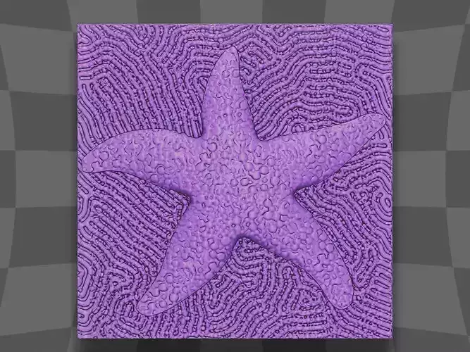 The starfish in the coral 3D print model