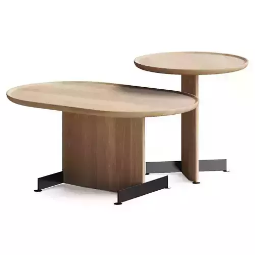 Alias Savoy Low Coffee Table 3D model