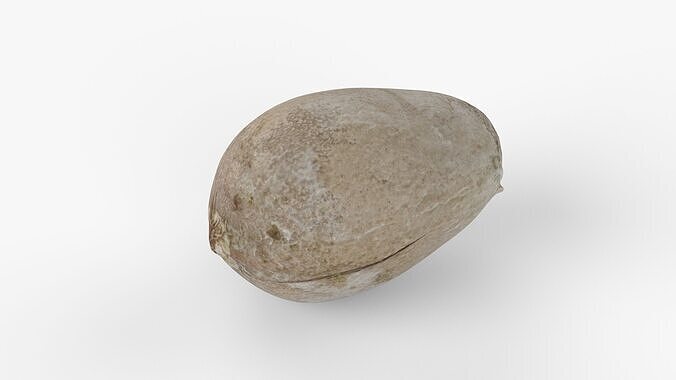 Photorealistic 3D scan of avocado pit Low-poly 3D model 2