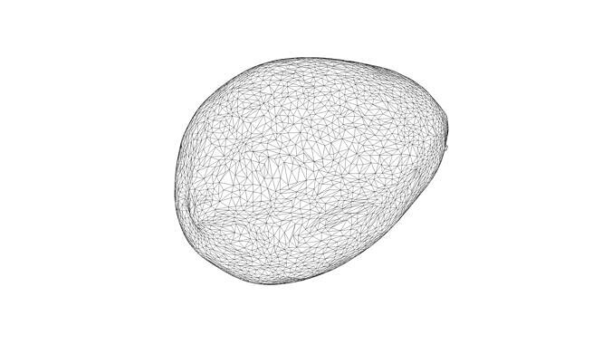 Photorealistic 3D scan of avocado pit Low-poly 3D model 4