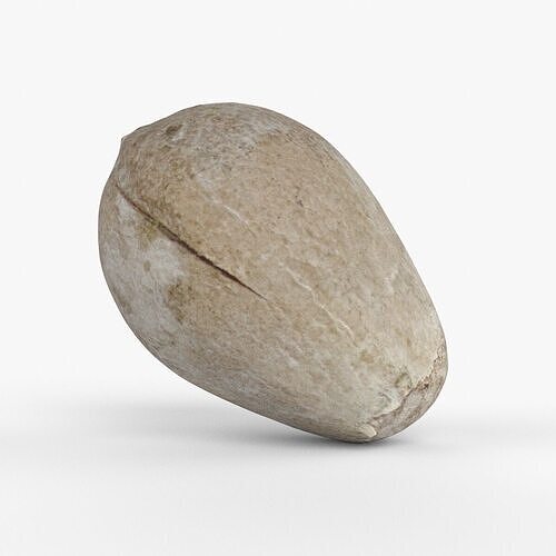 Photorealistic 3D scan of avocado pit Low-poly 3D model