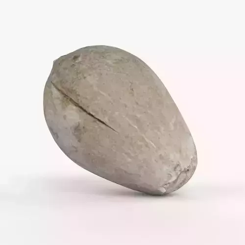 Photorealistic 3D scan of avocado pit