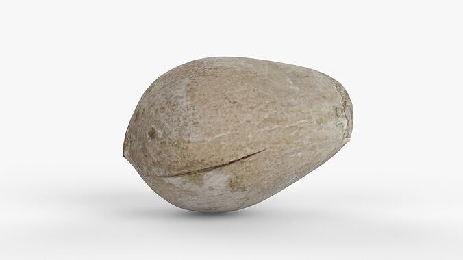 Photorealistic 3D scan of avocado pit Low-poly 3D model 7